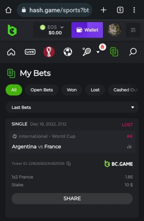 WhatsApp Image 2022-12-19 at 00.20.16.jpeg